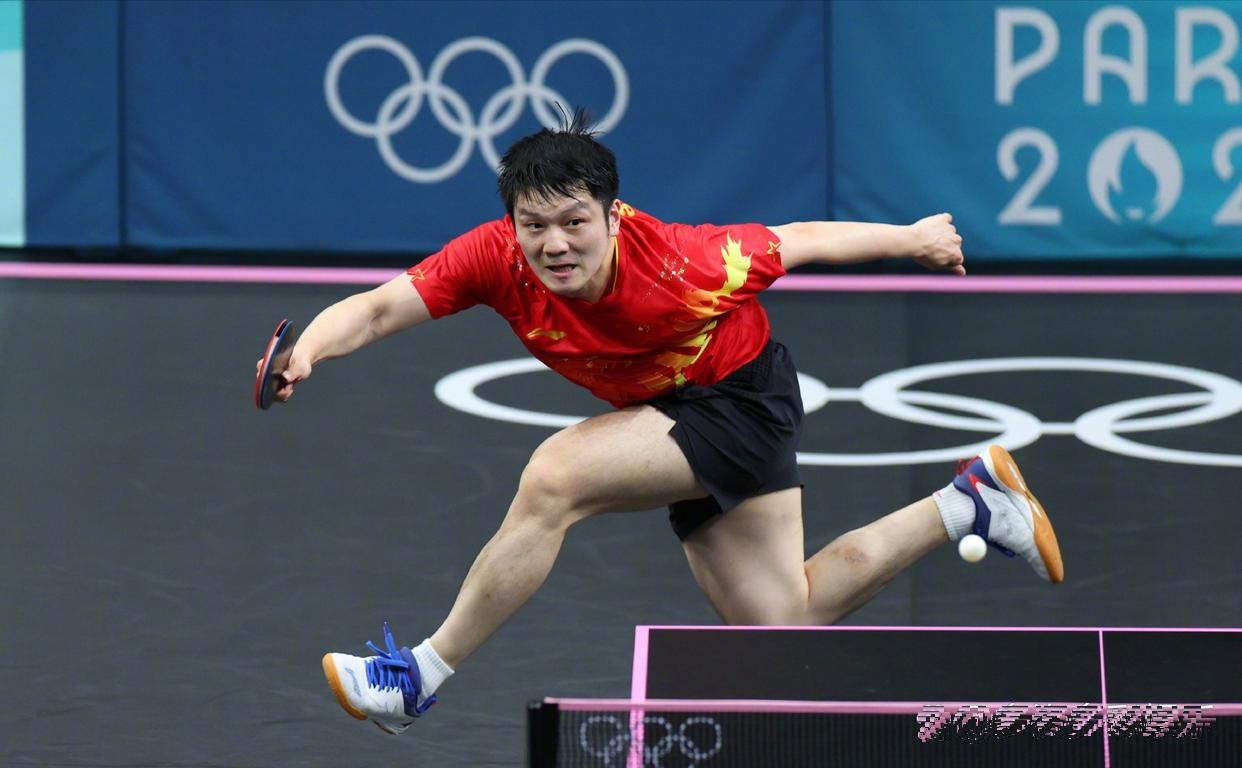 熊猫直播平台-法国乒乓球队完胜中国乒乓球队，樊振东打破历史纪录的简单介绍